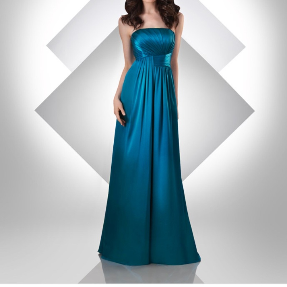 Brand New  prom/bridesmaid dress